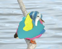 https://www.studiodaubal.com:443/files/gimgs/th-153_canards f.jpg
